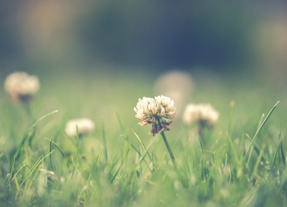 Choisir un funérarium à Versailles